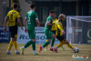 1434IMG_5266_wynik
