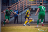 1439IMG_5281_wynik