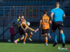 1643IMG_3934_wynik