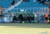 1530IMG_9850