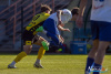 1811IMG_8212_wynik