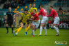 1516IMG_2292_wynik