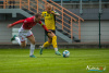 1521IMG_2317_wynik