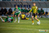 1706IMG_7504_wynik