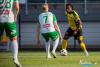 1719IMG_7607_wynik