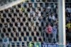 1833IMG_7949_wynik