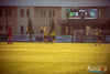 1851IMG_8008_wynik