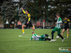1107IMG_9729_wynik