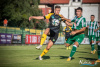 1735IMG_3250_wynik