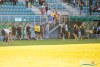 1753IMG_8557