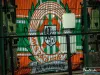 1526IMG_2526_wynik