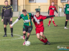 1517img_8916