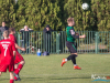 1533img_8935