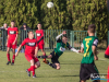 1541img_8941