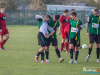1625img_8955