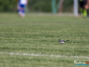 1640img_9410