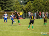 1141img_3906