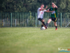 1242img_9771_09_11_2016