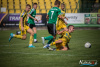 1330IMG_2410_wynik