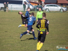 1124img_7462