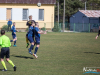 1147img_7467