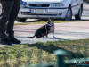 1224img_7489