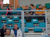 1653_img_7570_wynik