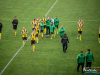 1753img_3115_04_22_2017