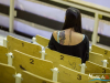 1949img_7451_12_06_2015