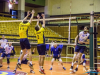 1733img_3166_wynik