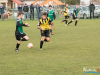 1231_img_6121_wynik