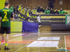 1849img_7309_02_26_2017