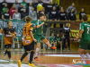 1828img_0166_01_25_2016