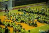 1801IMG_7956