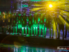 1637img_4175
