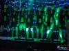 1637img_4178