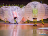 1733img_5273_12_10_2016