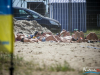 1306img_6335