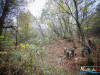 1259img_6475_wynik