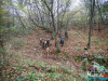 1259img_6477_wynik