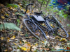 1308img_6575_wynik