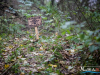 1319img_6623_wynik