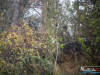 1324img_6634_wynik