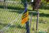 1006IMG_2828_wynik