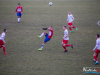 1531img_6942