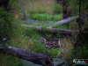 0531img_6257