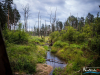 0533img_6259