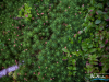 0543img_6262
