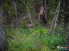 0545img_6265