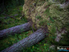 0545img_6267